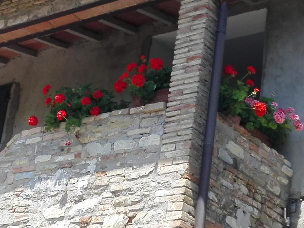 Fattoria Di Rigone Villa Coltavolino ภายนอก รูปภาพ