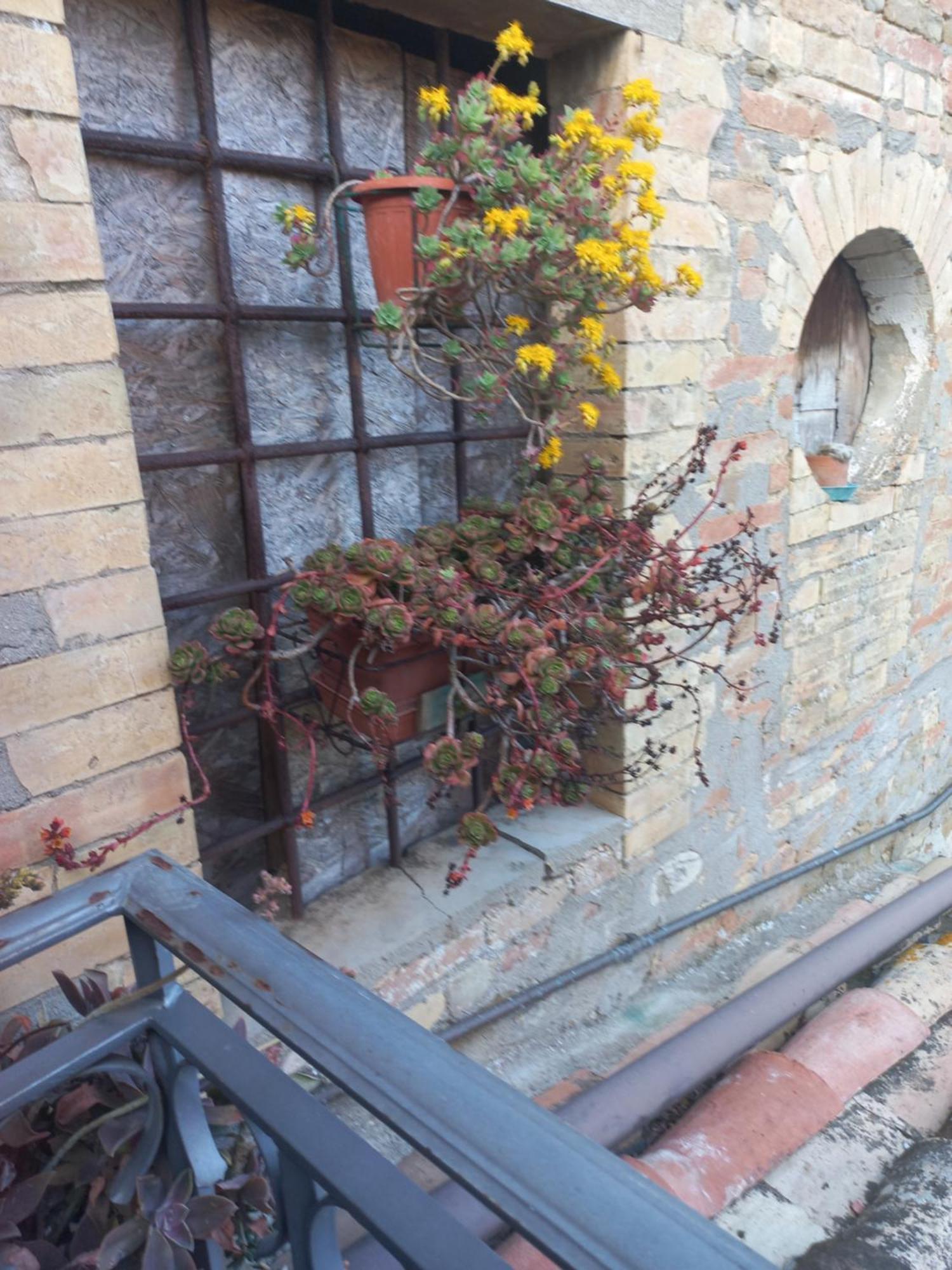 Fattoria Di Rigone Villa Coltavolino ภายนอก รูปภาพ