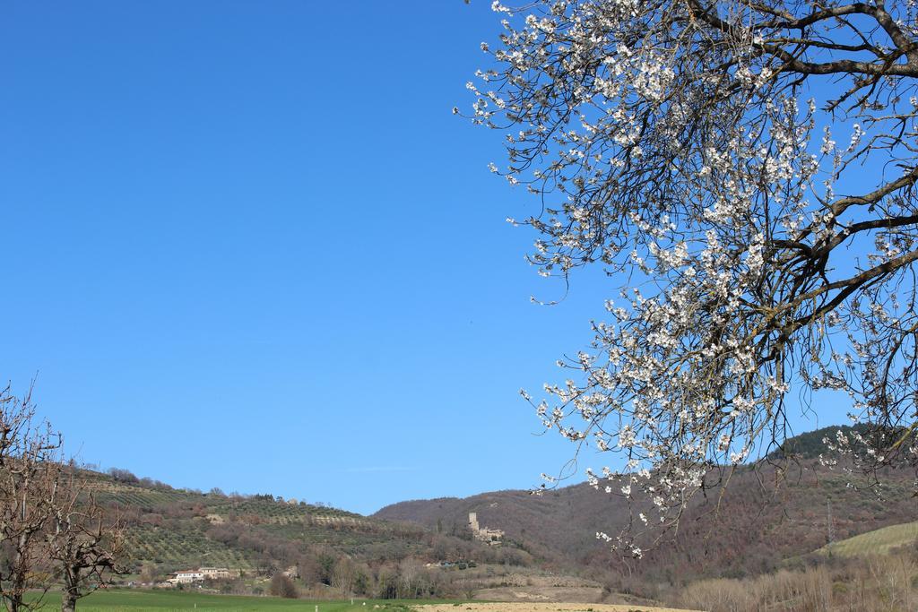 Fattoria Di Rigone Villa Coltavolino ภายนอก รูปภาพ