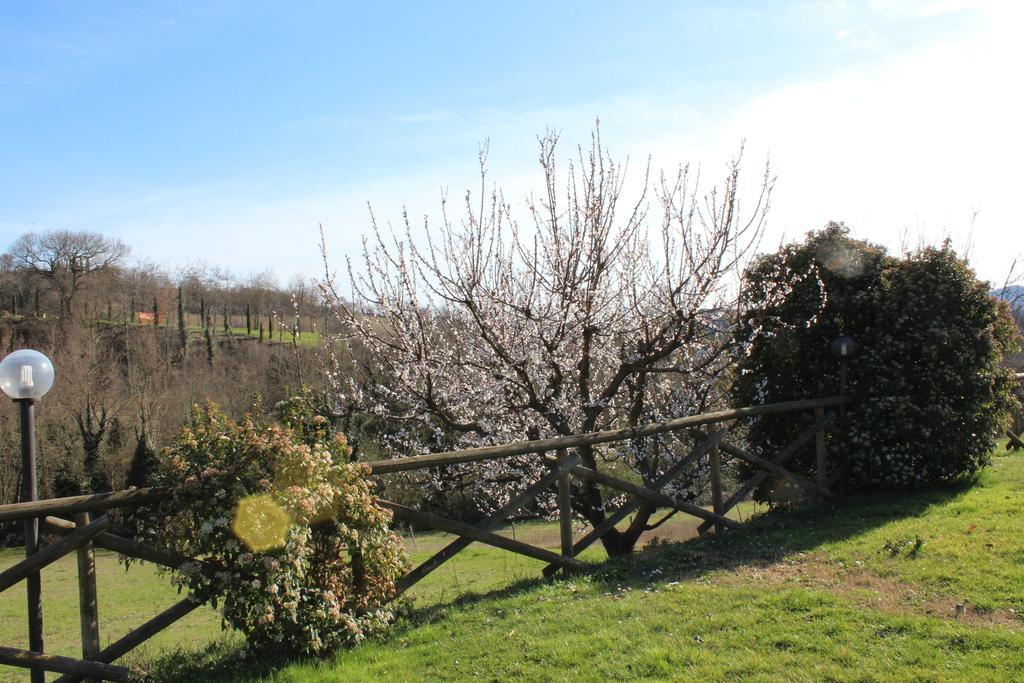 Fattoria Di Rigone Villa Coltavolino ภายนอก รูปภาพ