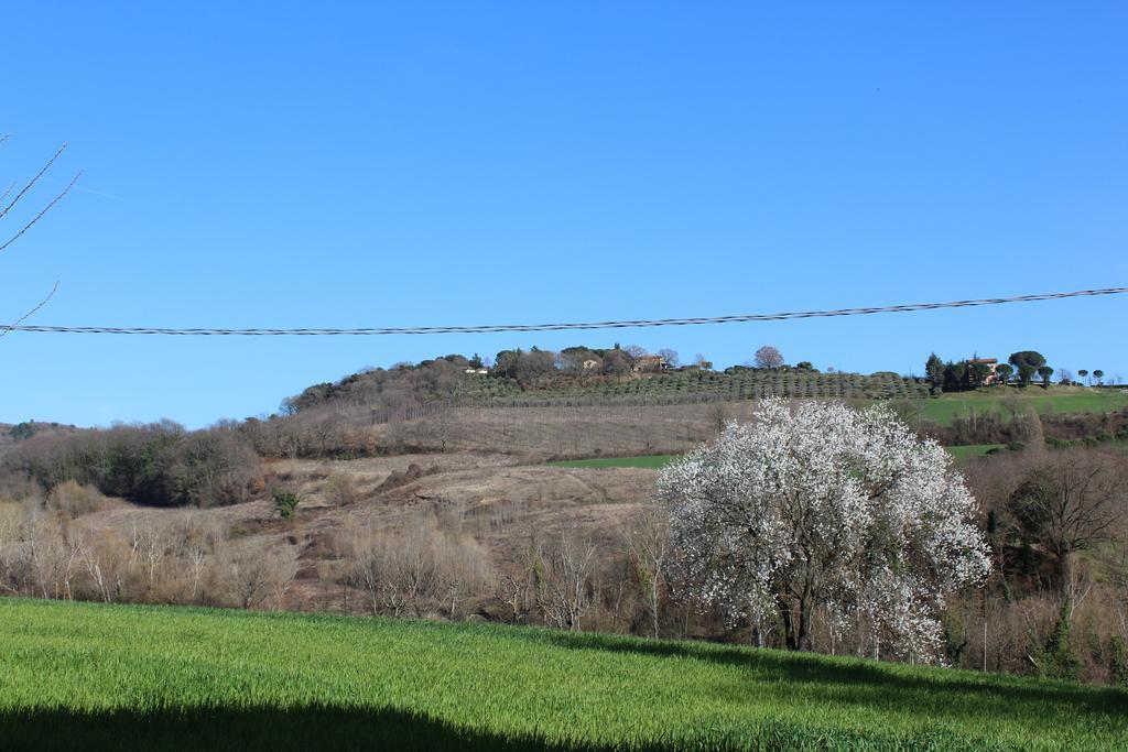 Fattoria Di Rigone Villa Coltavolino ภายนอก รูปภาพ