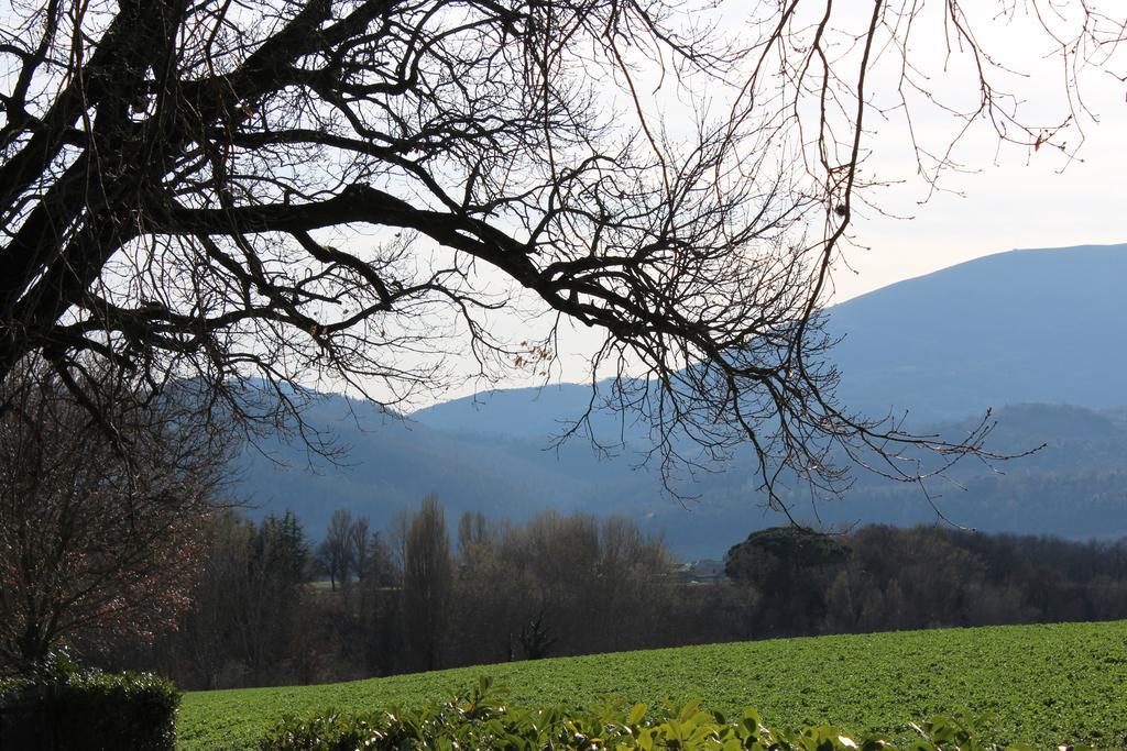 Fattoria Di Rigone Villa Coltavolino ภายนอก รูปภาพ