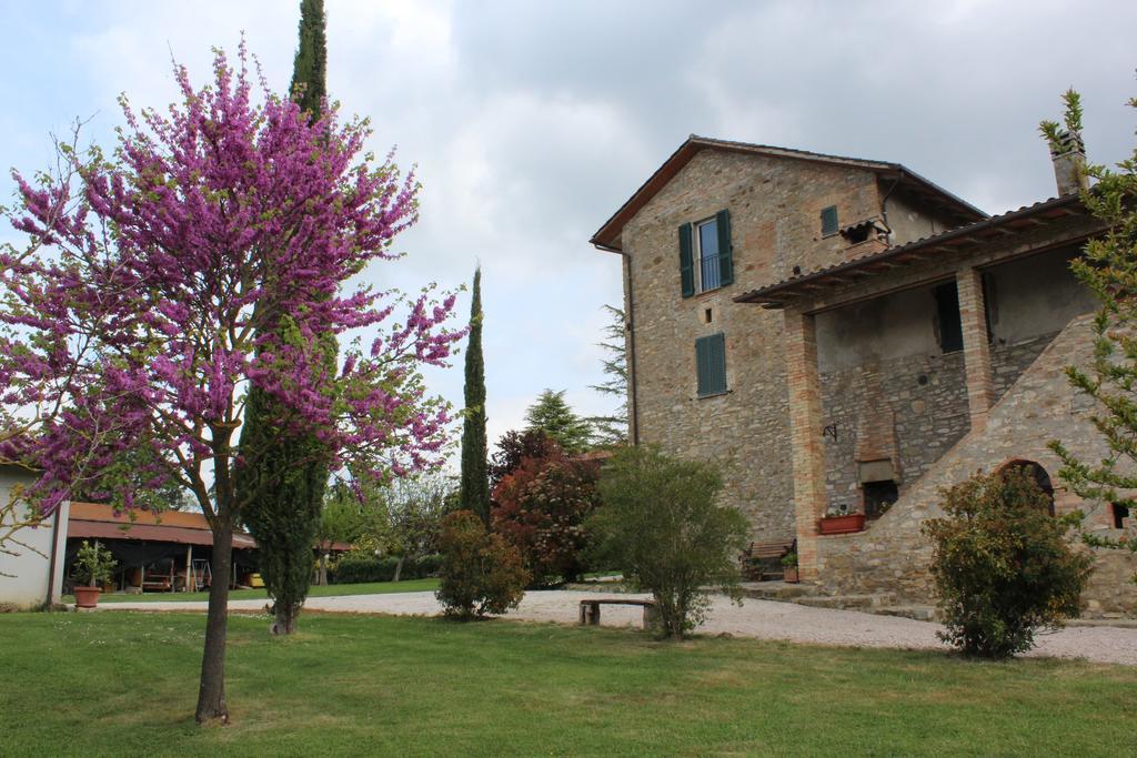 Fattoria Di Rigone Villa Coltavolino ภายนอก รูปภาพ