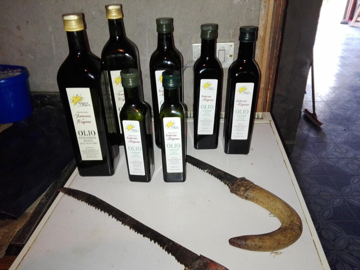 Fattoria Di Rigone Villa Coltavolino ภายนอก รูปภาพ
